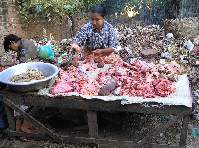 20050128_Bagan_02